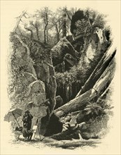 'Ice Glen, Stockbridge', 1874.  Creator: John J. Harley.