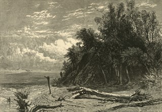 'The Shore at Lake Forest', 1874.  Creator: W. J. Linton.