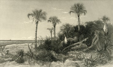 'On the Coast of Florida', 1872.  Creator: Robert Hinshelwood.