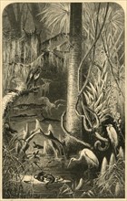 'A Florida Swamp', 1872. Creator: Frederick William Quartley.