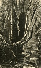 'Cavern Cascade, below Mountain House', 1872. Creator: J. G. Smithwick.