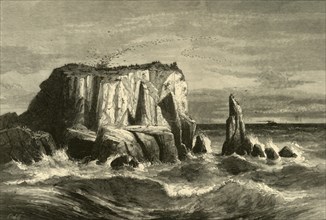 'Coast Scene, Marin County', 1872. Creator: Andrew Varick Stout Anthony.