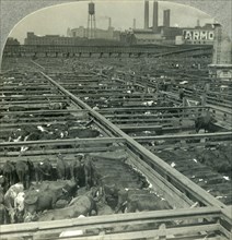 'The Great Union Stock Yards, Largest Live Stock Market on Earth, Chicago, Illinois', c1930s. Creator: Unknown.