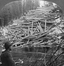 'Logs from the Forest Delivered at the Stream, Aroostook County, Me.', c1930s. Creator: Unknown.