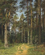 Siverskaya, 1896. Creator: Shishkin, Ivan Ivanovich (1832-1898).