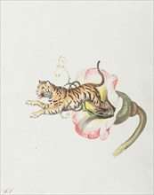 Tiger jumping from a flower crown. Allegory on flower seeds, 1817. Creator: Tischbein, Johann Heinrich Wilhelm (1751-1829).