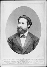 Portrait of the pianist and composer Heinrich Karl Johann Hofmann (1842-1902). Creator: Luckhardt, Fritz (1843-1894).