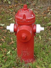 Fire Hydrant in British Columbia, Canada. Creator: Unknown.