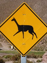 Llama warning road sign in Chile 2019. Creator: Unknown.