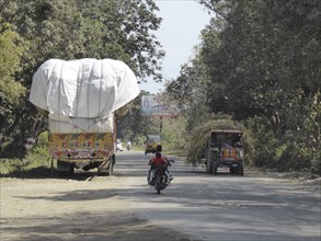 Trucks with heavy loads of sugar cane, Uttarakhand, India. Creator: Unknown.