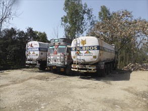 Tata trucks with heavy loads, India. Creator: Unknown.