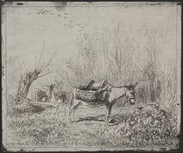 A Donkey in the Field, original impression 1862, printed in 1921. Creator: Charles François Daubigny (French, 1817-1878).