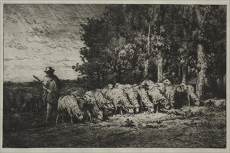A Herd at the Edge of a Forest, 1880. Creator: Charles-Émile Jacque (French, 1813-1894).
