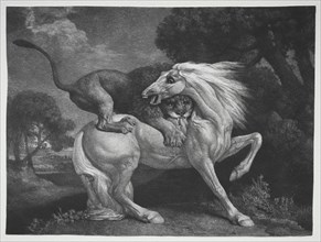 A Horse Attacked by a Lion, 1788. Creator: George Stubbs (British, 1724-1806).