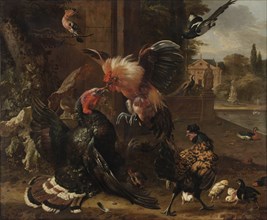 A Rooster and Turkey Fighting, c. 1680. Creator: Melchior de Hondecoeter (Dutch, 1636-1695).