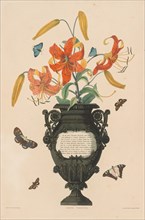 A Selection of Hexandrian Plants...: Tiger Lily, 1831-1832. Creator: Robert Havell (British, 1769-1832).