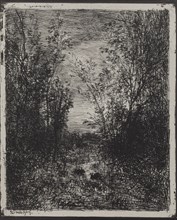 A Stream in a Glade, original impression 1862, printed in 1921. Creator: Charles François Daubigny (French, 1817-1878).