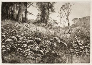 A Summer Afternoon, 1882. Creator: Elis F. Miller (American).