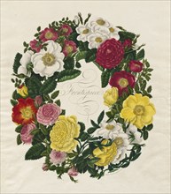 A Wreath of Roses, 1799. Creator: Mary Lawrence (British).