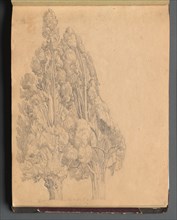 Album with Views of Rome and Surroundings, Landscape Studies, page 13a: Trees. Creator: Franz Johann Heinrich Nadorp (German, 1794-1876).