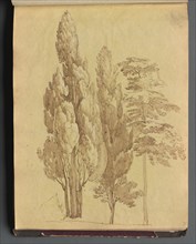 Album with Views of Rome and Surroundings, Landscape Studies, page 15a: Trees. Creator: Franz Johann Heinrich Nadorp (German, 1794-1876).