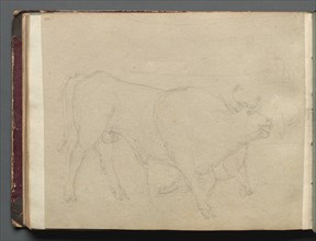 Album with Views of Rome and Surroundings, Landscape Studies, page 51b: Study of a Bull. Creator: Franz Johann Heinrich Nadorp (German, 1794-1876).