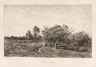 Apple Trees at Auvers (Pommiers à Auvers), 1877. Creator: Charles François Daubigny (French, 1817-1878).