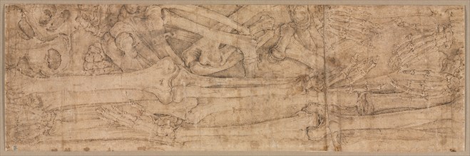 Arm Bones, early 1540s. Creator: Battista Franco (Italian, c. 1510-1561).