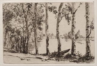 Aspens on the Bank of the Seine. Creator: Félix Bracquemond (French, 1833-1914).