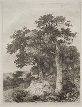 At Colney. Creator: John Crome (British, 1768-1821).
