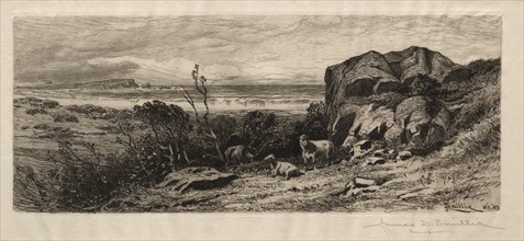 At Marblehead Neck, 1883. Creator: James David Smillie (American, 1833-1909).