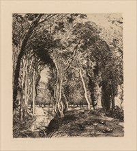 Auguste Lepère: Sous bois, à la Rigonette (Vendèe). Creator: Auguste Louis Lepère (French, 1849-1918).