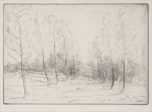 Avenue of Poplars. Creator: Alphonse Legros (French, 1837-1911).