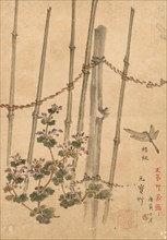 Bamboo Fence and Chrysanthemums, c. 1890. Creator: Kono Bairei (Japanese, 1844-1895).