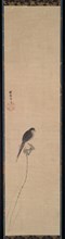 Bird on a Lotus Bud, 1600s. Creator: Kano Tan?y? (Japanese, 1602-1674).