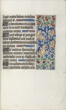 Book of Hours (Use of Rouen): fol. 40r, c. 1470. Creator: Master of the Geneva Latini (French, active Rouen, 1460-80).
