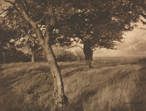 Camera Work: Beyond, 1905. Creator: A. Horsley Hinton (British, 1863-1908).