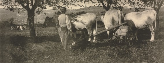 Camera Work: Ploughing Team, 1907. Creator: J. Craig Annan (British, 1864-1946).