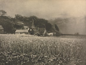 Camera Work: The Onion Field - 1890, 1890. Creator: George Davison (British, 1856-1930).