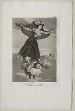 Caprichos: They Have Flown. Creator: Francisco de Goya (Spanish, 1746-1828).
