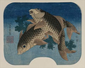 Carp Swimming by Water Weeds, 1831. Creator: Katsushika Hokusai (Japanese, 1760-1849).
