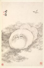 Cat and Butterfly, 1788. Creator: Min Zhen (Chinese, 1730-after 1788).