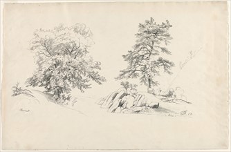 Chestnut and Pine, 1869. Creator: David Johnson (American, 1827-1908).