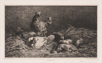Chickens (Poutes), 1867. Creator: Charles-Émile Jacque (French, 1813-1894).