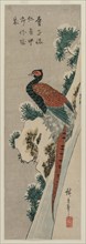 Copper Pheasant by Snowy Waterfall, late 1830s or early 1840s. Creator: Ando Hiroshige (Japanese, 1797-1858).