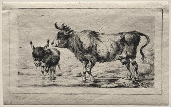 Cow and Ass, 1849. Creator: Charles Meryon (French, 1821-1868).