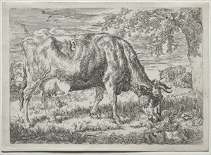 Cow and Two Sheep at the Foot of a Tree, 1670. Creator: Adriaen van de Velde (Dutch, 1636-1672).