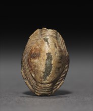 Cowroid, 1450-1350 BC. Creator: Unknown.