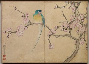 Desk Album: Flower and Bird Paintings (Bird with Plum Blossoms), 18th Century. Creator: Zhang Ruoai (Chinese).
