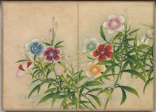 Desk Album: Flower and Bird Paintings (Pinks), 18th Century. Creator: Zhang Ruoai (Chinese).